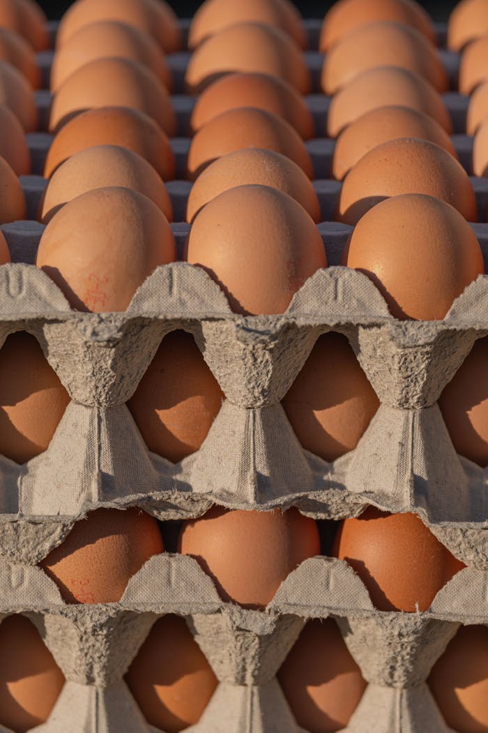 Close-up of organic brown eggs in eco-friendly cartons, perfect for sustainable food themes.